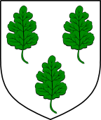 English Family Shield for Selioke or Selleck