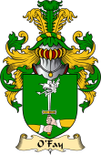 Irish Family Coat of Arms (v.23) for O'Fay or O'Fee