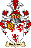 English Coat of Arms (v.23) for the family Buckland