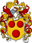 English or Welsh Coat of Arms for Devon (Ref Berry)