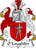 Irish Coat of Arms for O'Loughlin I