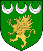 Irish Family Shield for MacManus (Fermanagh)