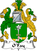 Irish Coat of Arms for O'Fay or O'Fee