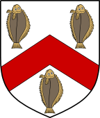 English Family Shield for Sole