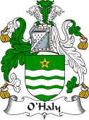 Irish Coat of Arms for O'Haly or Healy