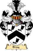 Irish Family Coat of Arms (v.23) for Bray