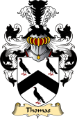 English Coat of Arms (v.23) for the family Thomas (Wales)