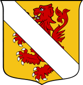 Italian Family Shield for Rinaldi