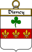 Irish Badge for Disney
