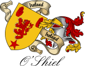 Sept (Clan) Coat of Arms from Ireland for O'Shiel