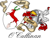 Sept (Clan) Coat of Arms from Ireland for O'Cullinan