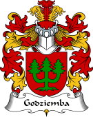 Polish Coat of Arms for Godziemba