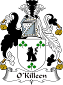 Irish Coat of Arms for O'Killeen