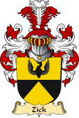 v.23 Coat of Family Arms from Germany for Zick
