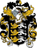 English or Welsh Coat of Arms for Mervyn (or Mervin)