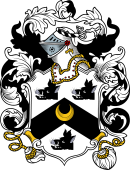 English or Welsh Coat of Arms for Bethell (Winchester)