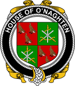 Irish Coat of Arms Badge for the O'NAGHTEN family