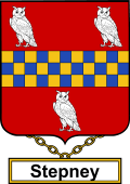 English Coat of Arms Shield Badge for Stepney