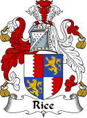 Irish Coat of Arms for Rice