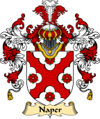 Irish Family Coat of Arms (v.25) Naper or Napper