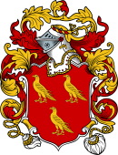 English or Welsh Coat of Arms for Falcon (Ref Berry)