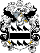 English or Welsh Coat of Arms for Welsh