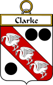 Irish Badge for Clarke