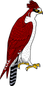 Birds of Prey Clipart image: Crested Hawk Eagle
