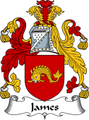English Coat of Arms for the family James I