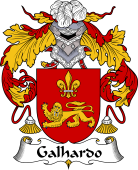 Portuguese Coat of Arms for Galhardo