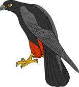 Birds of Prey Clipart image: Orange Legged Falcon