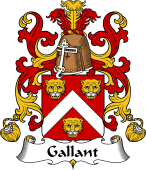 Coat of Arms from France for Gallant