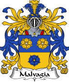 Italian Coat of Arms for Malvagia