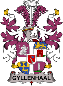 Swedish Coat of Arms for Gyllenhaal