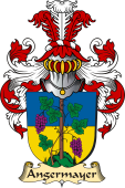 v.23 Coat of Family Arms from Germany for Angermayer