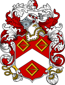 English or Welsh Coat of Arms for Chester (Ref Berry)