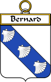 Irish Badge for Bernard