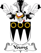 Coat of Arms from Scotland for Young