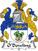 Irish Coat of Arms for O'Dowling
