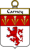 Irish Badge for Carney