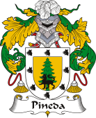 Spanish Coat of Arms for Pineda