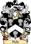 English or Welsh Family Coat of Arms (v.23) for Field (1653)