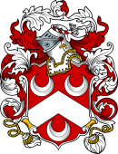 English or Welsh Coat of Arms for Maston (Kent)