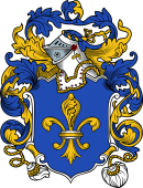 English or Welsh Coat of Arms for Flower
