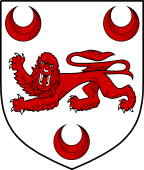 Irish Family Shield for Dillon (Westmeath)