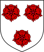 English Family Shield for Sparrow