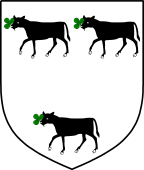 Irish Family Shield for Metcalf or Medcalf