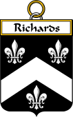 Irish Badge for Richards
