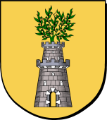 Spanish Family Shield for Olivares