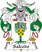 Spanish Coat of Arms for Salcedo